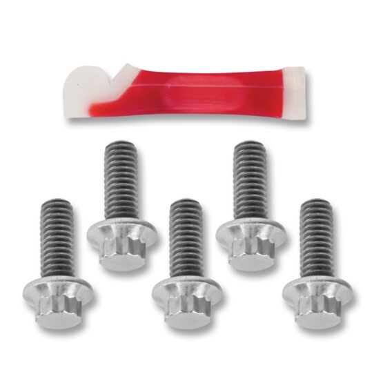 Rotor Bolt Set - Chrome