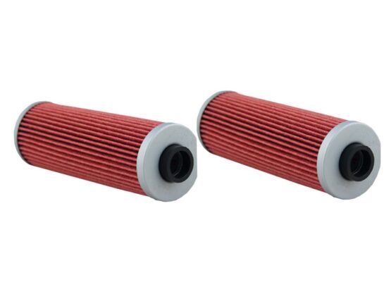 HF161 Oil Filter - 2 Pack