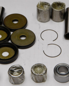 Swing Arm Linkage Bearing & Seal Kit