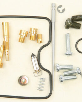 Carburetor Repair Kit