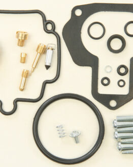 Carburetor Repair Kit