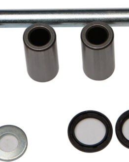 Swing Arm Bearing Kit