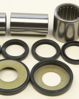 Swing Arm Bearing Kit