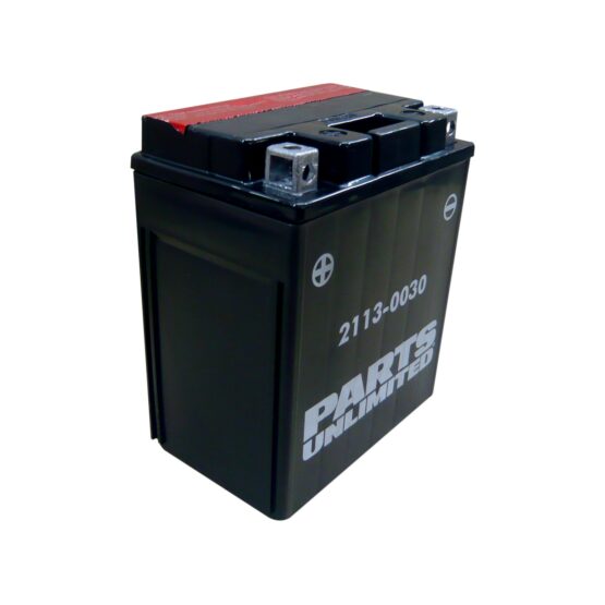 AGM Maintenance Free Battery 210CCA 12V 12Ah - Image 3