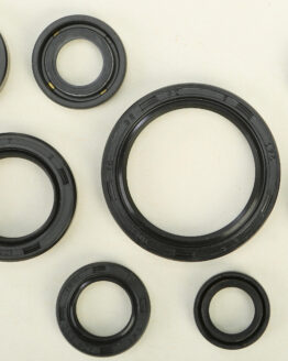 Vertex Engine Oil Seal Kit 822167