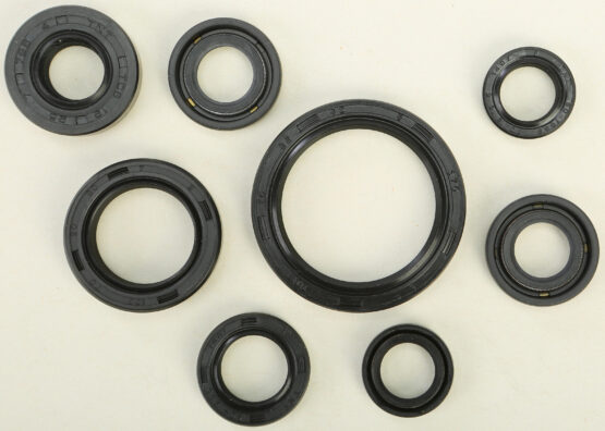 Vertex Engine Oil Seal Kit 822167