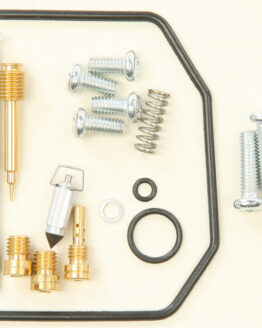 Carburetor Repair Kit