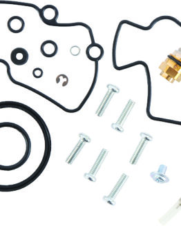 Carburetor Repair Kit