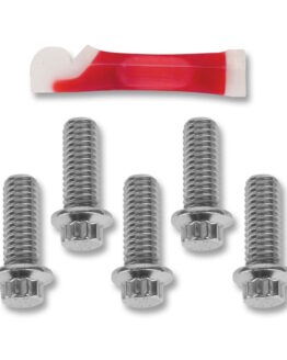 Rotor Bolt Set - Chrome