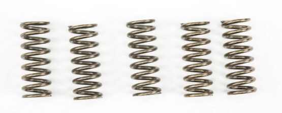 EBC CSK Coil Clutch Spring Kit (5 Pcs) Fits 17-19 BMW G 310 GS