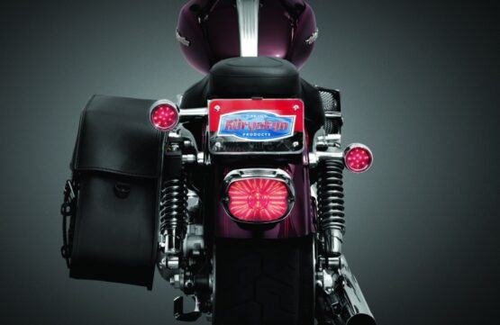 License Plate Turn Signal & Marker Light Mount Chrome - Image 4