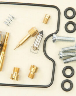 Carburetor Repair Kit