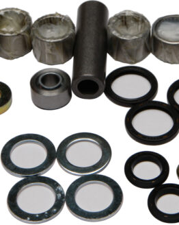 Swing Arm Linkage Bearing & Seal Kit