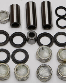 Swing Arm Linkage Bearing & Seal Kit