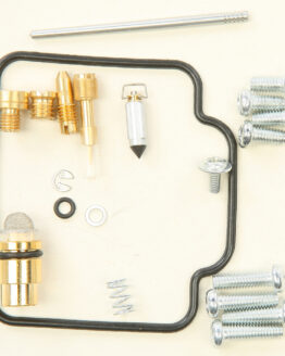 Carburetor Repair Kit