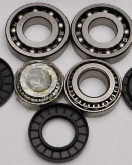 Differential Bearing & Seal Kit