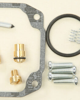 Carburetor Repair Kit