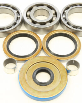 QuadBoss Rear Differential Bearing & Seal Kit 414462