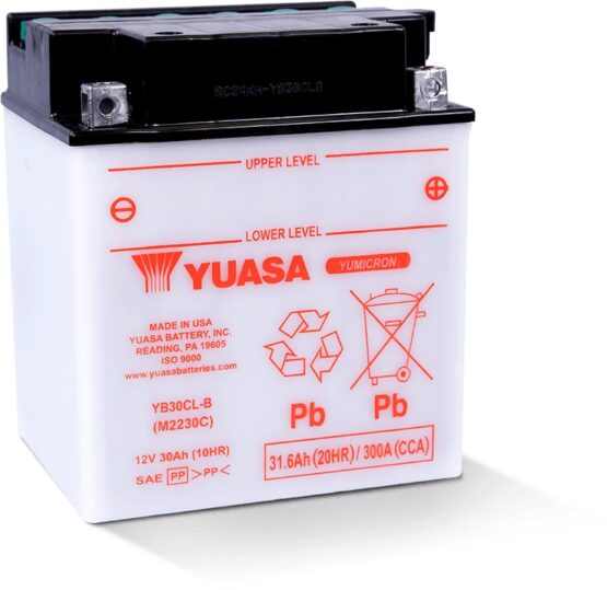 Yuasa YB30CL-B Yumicron 12V Battery - Image 5