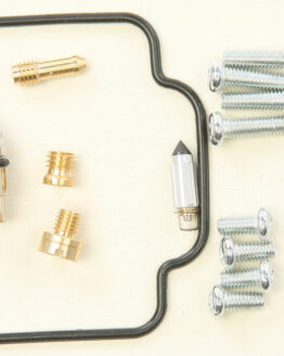 Carburetor Repair Kit