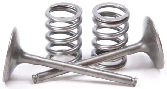 Steel Intake Valve/Spring Kit