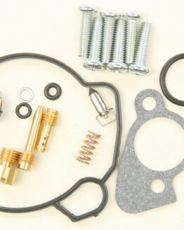 Carburetor Repair Kit