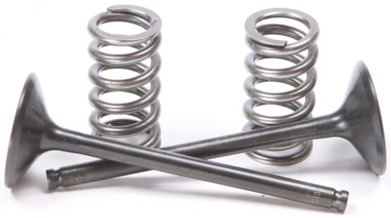 Steel Exhaust Valve/Spring Kit