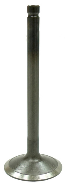 ec16-5cf174a6441f8.jpg