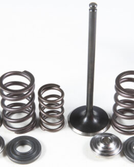 Intake Valve & Spring Kit Stainless Steel