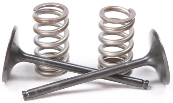 Steel Intake Valve/Spring Kit
