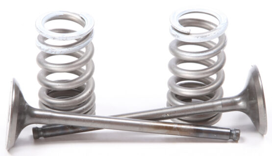 Steel Exhaust Valve/Spring Kit