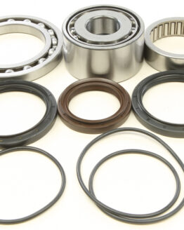 Rear Differential Bearing & Seal Kit
