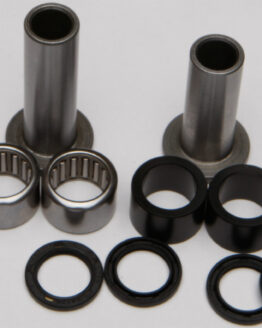 Swing Arm Bearing Kit