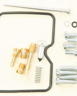 Carburetor Repair Kit