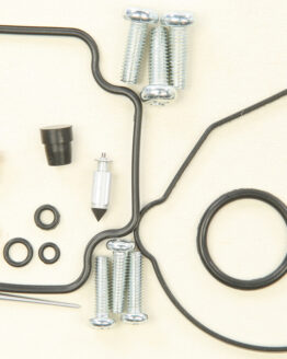 Carburetor Repair Kit
