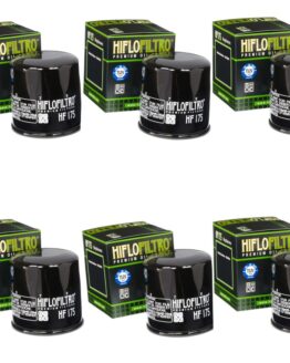 HF175 Oil Filter - Black - 6 Pack