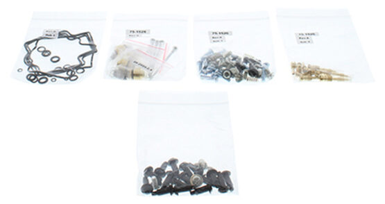 Carburetor Rebuild Kit
