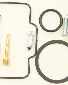 Carburetor Repair Kit