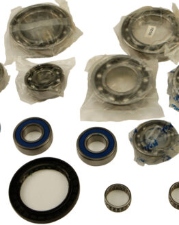 Differential Bearing & Seal Kit