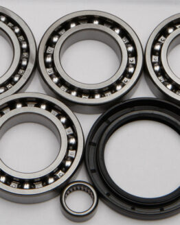 Differential Bearing & Seal Kit