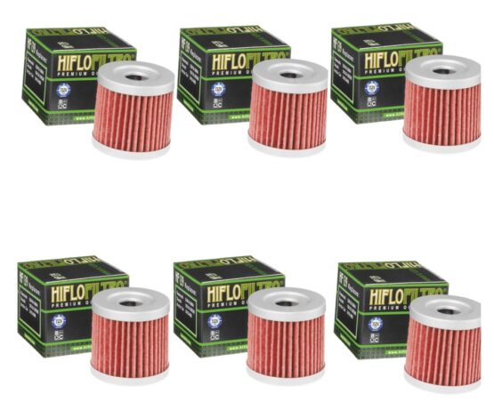 HF139 Oil Filter - 6 Pack