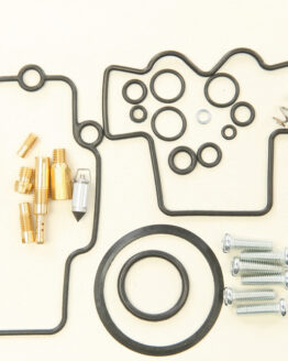 Carburetor Repair Kit