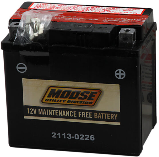 YTX AGM Maintenance Free Battery 80CCA 12V 4Ah