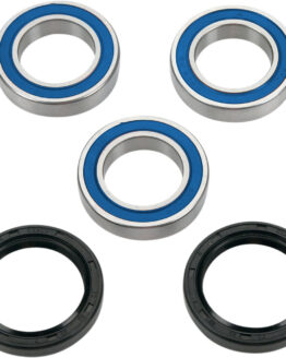 Rear Wheel Bearing Kit