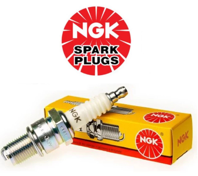 ngkbp8ev.jpg