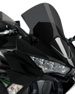 R-Racer Windscreen - Dark Smoke