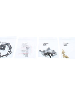 Carburetor Rebuild Kit