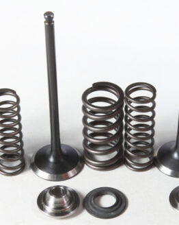 Intake Valve & Spring Kit Stainless Steel