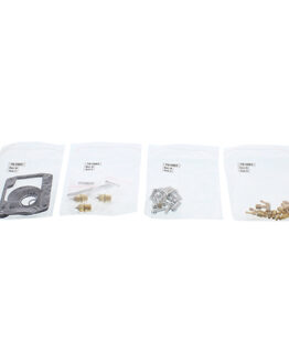 Carburetor Rebuild Kit