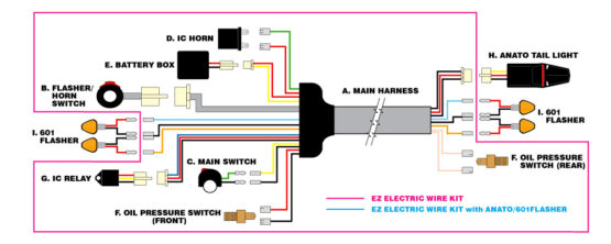 EZ Electric Light & Wiring Kit W/ Anato Tail & 601 Flasher - Image 6